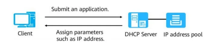 Что такое DHCP: процесс взаимодействия и структура пакетов